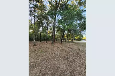 Lot 37 Diane Place, Chipley, FL 32428 - Photo 43