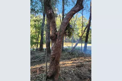 Lot 37 Diane Place, Chipley, FL 32428 - Photo 13
