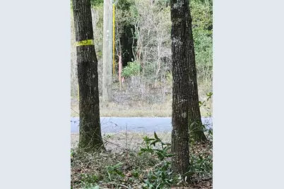 Lot 37 Diane Place, Chipley, FL 32428 - Photo 37