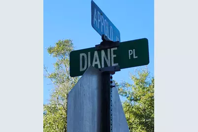 Lot 37 Diane Place, Chipley, FL 32428 - Photo 9