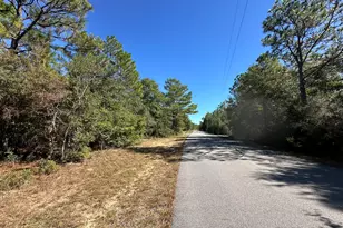 Parcel B Bear Head Rd, Crestview, FL 32539 - Photo 1