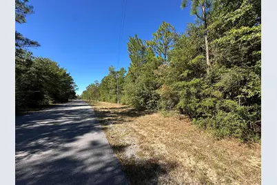 Parcel B Bear Head Road, Crestview, FL 32539 - Photo 3