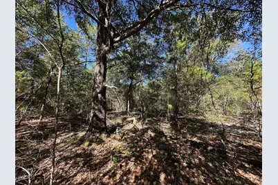 Parcel B Bear Head Road, Crestview, FL 32539 - Photo 5
