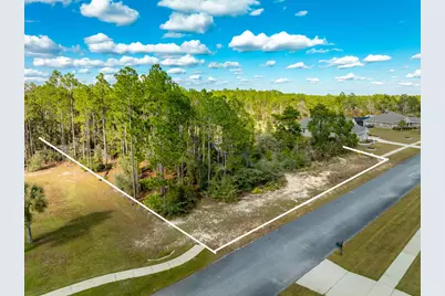 Lot 23 Brushed Dune Circle, Freeport, FL 32439 - Photo 1