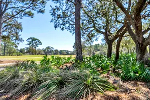 330 Kelly Plantation Dr, Destin, FL 32541 - Photo 199