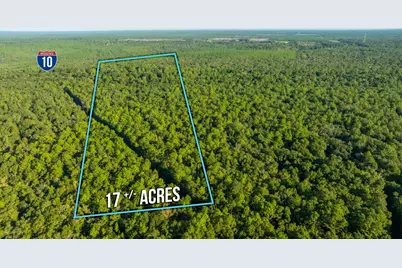 17 Acres Lyons Place, Holt, FL 32564 - Photo 1