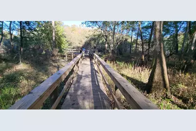 1907 River Road, Ponce de Leon, FL 32455 - Photo 55