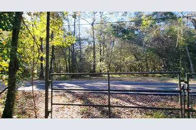 1907 River Road, Ponce de Leon, FL 32455 - Photo 39