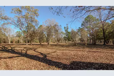 1981 Parrish Rd Road, Florala, AL 36442 - Photo 35