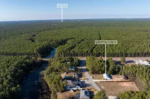 65 Happy Hollow Rd, Freeport, FL 32439 - Photo 3