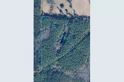 5 Canopy Oaks Blvd, Bonifay, FL 32425 - Photo 1