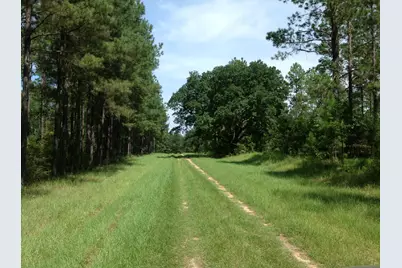 5 Canopy Oaks Blvd, Bonifay, FL 32425 - Photo 7