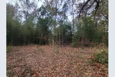 228 Double Bridge Road, Laurel Hill, FL 32567 - Photo 13