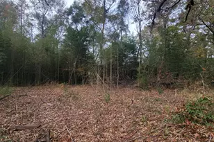 228 Double Bridge Rd, Laurel Hill, FL 32567 - Photo 13