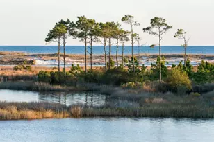 54 Grande Pointe Dr, Inlet Beach, FL 32461 - Photo 49