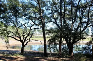 103 Pretty Pond Ln, Defuniak Springs, FL 32433 - Photo 7