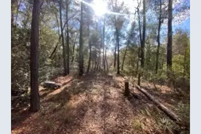 Parcel A&b Sunburst Drive, Crestview, FL 32539 - Photo 27
