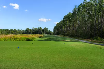 32 Brushed Dune Circle, Freeport, FL 32439 - Photo 25