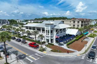 3958 W County Hwy 30A Way, Santa Rosa Beach, FL 32459 - Photo 49