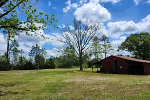 258 Briar Rd, Defuniak Springs, FL 32433 - Photo 3