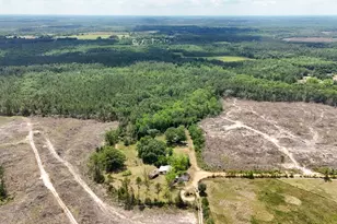 258 Briar Rd, Defuniak Springs, FL 32433 - Photo 21