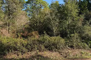Lot 4 Nelson St, Navarre, FL 32566 - Photo 1