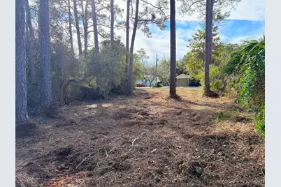 Lot 24 Greenbriar Lane, Santa Rosa Beach, FL 32459 - Photo 11