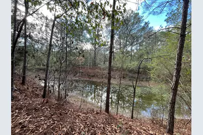 3878 River Road, Vernon, FL 32462 - Photo 7