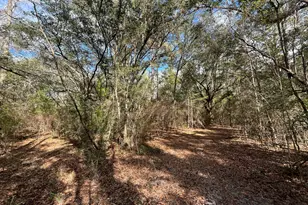 3878 River Rd, Vernon, FL 32462 - Photo 9