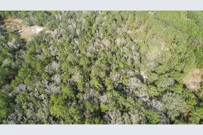 3878 River Road, Vernon, FL 32462 - Photo 17