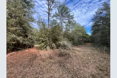 3878 River Road, Vernon, FL 32462 - Photo 23