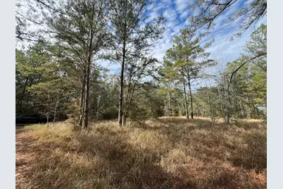 3878 River Road, Vernon, FL 32462 - Photo 21