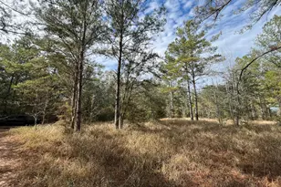 3878 River Rd, Vernon, FL 32462 - Photo 21