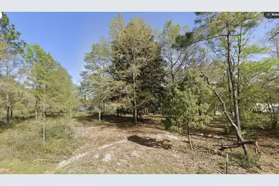 Lot 30&29 E Michaelanglo Road, Defuniak Springs, FL 32433 - Photo 1