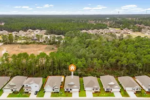 313 Holley Grove Ln, Santa Rosa Beach, FL 32459 - Photo 47