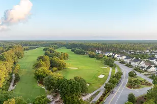 36 Golden Bell Ct, Inlet Beach, FL 32461 - Photo 35
