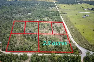 1438 Lake Lillian Rd, Fountain, FL 32438 - Photo 7
