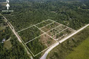 1438 Lake Lillian Rd, Fountain, FL 32438 - Photo 3