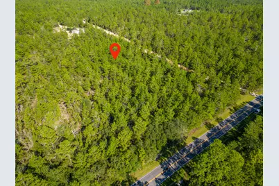 Lot B Avocado Lane, Defuniak Springs, FL 32433 - Photo 5