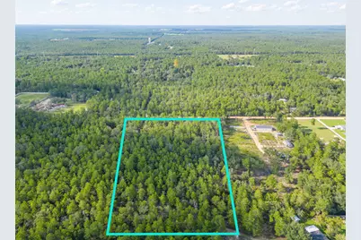 5 Acres Carol Lane, Defuniak Springs, FL 32433 - Photo 7