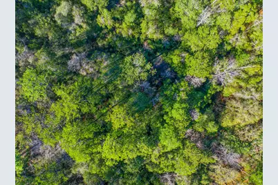21 Acres Rock Hill Road, Ponce de Leon, FL 32455 - Photo 5