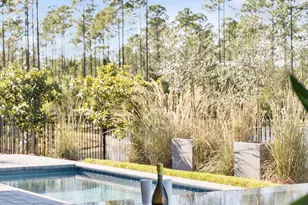 62 Tamoka Ct, Inlet Beach, FL 32461 - Photo 45