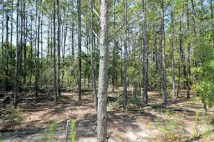 334 This Way, Freeport, FL 32439 - Photo 47