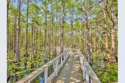 Lot 6 Cypress Drive, Santa Rosa Beach, FL 32459 - Photo 27