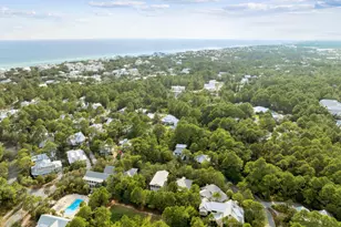 298 Cullman Ave, Santa Rosa Beach, FL 32459 - Photo 37