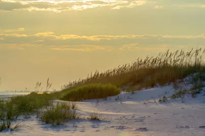 247 N Bishop Road, Santa Rosa Beach, FL 32459 - Photo 31