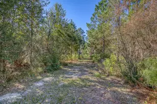 1650 Bear Bay Flats Rd Rd, Laurel Hill, FL 32567 - Photo 35