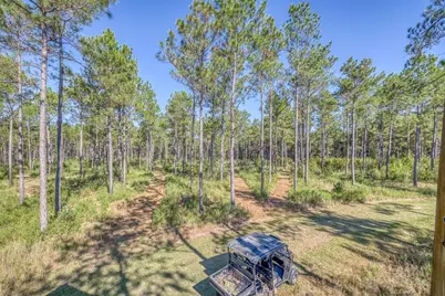 1650 Bear Bay Flats Rd Road, Laurel Hill, FL 32567 - Photo 25