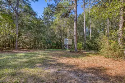 1650 Bear Bay Flats Rd Road, Laurel Hill, FL 32567 - Photo 15