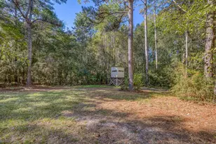 1650 Bear Bay Flats Rd Rd, Laurel Hill, FL 32567 - Photo 15